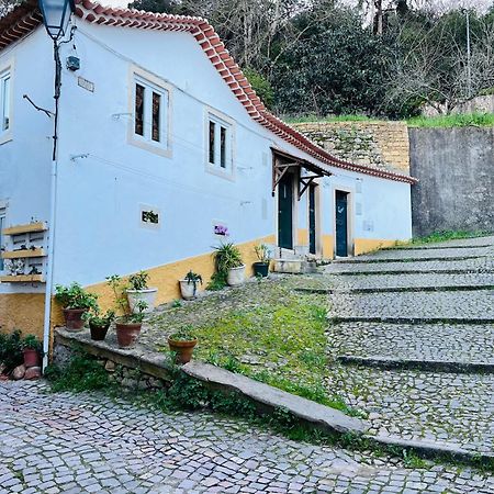Pe Do Castelo Casinha - Pet Friendly & Garage Villa Tomar Luaran gambar